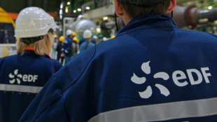 Francia consuma la renacionalizaci&oacute;n del gigante el&eacute;ctrico EDF