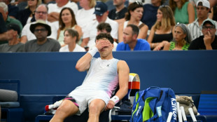 Shelton quits US Open with shoulder injury