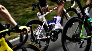 Erneut Zwischenfall bei der Tour: Defekte durch Rei&szlig;zwecken