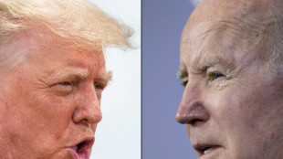 La inmigraci&oacute;n, eje de la campa&ntilde;a electoral de Trump y sus aliados