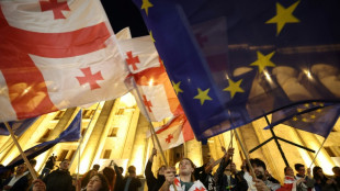 En G&eacute;orgie, 20.000 manifestants apr&egrave;s le premier vote d'une loi sur l'"influence &eacute;trang&egrave;re"