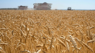 Landwirtschaftsminister &Ouml;zdemir warnt vor Hungersnot in Ostafrika
