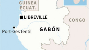Dos muertos y decenas de desaparecidos en un accidente de ferry en Gab&oacute;n