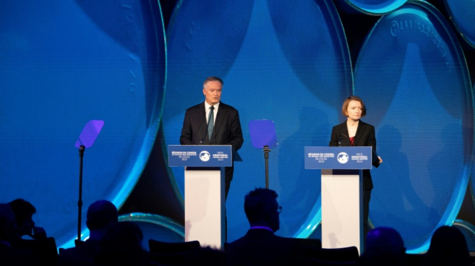 OCDE recomenda &agrave; Argentina pensar na 'efic&aacute;cia do gasto social'