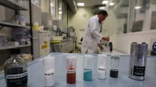 Primera cumbre internacional sobre metales cr&iacute;ticos para la transici&oacute;n energ&eacute;tica