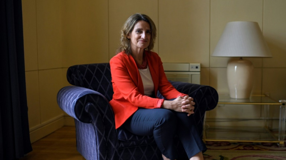 Teresa Ribera, l'experte du climat qui souhaite "verdir" la Commission europ&eacute;enne