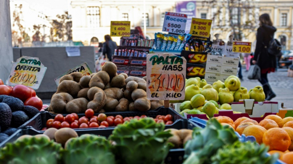 Chile registra en junio inflaci&oacute;n del 0,9% y 12,5% en un a&ntilde;o
