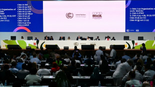 EU must be 'less naive' in COP climate talks: French ministry