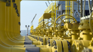 Ue, 'proroga price-cap per il gas non &egrave; in discussione'