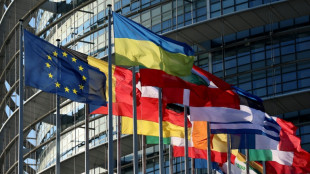 De nouveaux eurod&eacute;put&eacute;s atypiques font leur rentr&eacute;e
