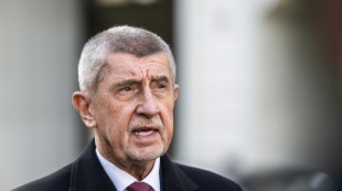 Merz empf&auml;ngt tschechischen Regierungschef Babis im Kanzleramt