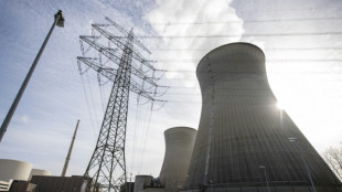 Canciller alem&aacute;n considera prolongar actividad de centrales nucleares
