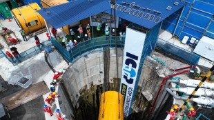 Icop perfeziona closing per il 61,89% di Palingeo