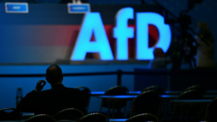 SPD und Gr&uuml;ne sehen Gruppenantrag zu AfD-Verbotsverfahren kritisch