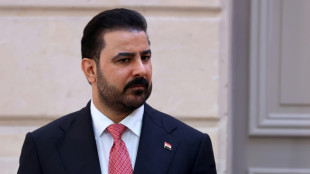 Bundeskanzler Merz empf&auml;ngt irakischen Ministerpr&auml;sidenten al-Saidi 