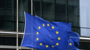 Comunidad Pol&iacute;tica Europea busca perfilarse como un frente unido ante Rusia