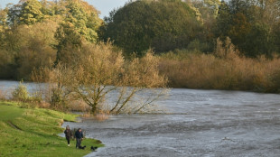 Temp&ecirc;te Boelo: 82.000 foyers priv&eacute;s d'&eacute;lectricit&eacute; et transports perturb&eacute;s au Royaume-Uni