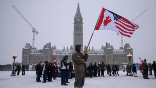 Canada: la police mobilis&eacute;e sur un pont frontalier, foule &agrave; Ottawa