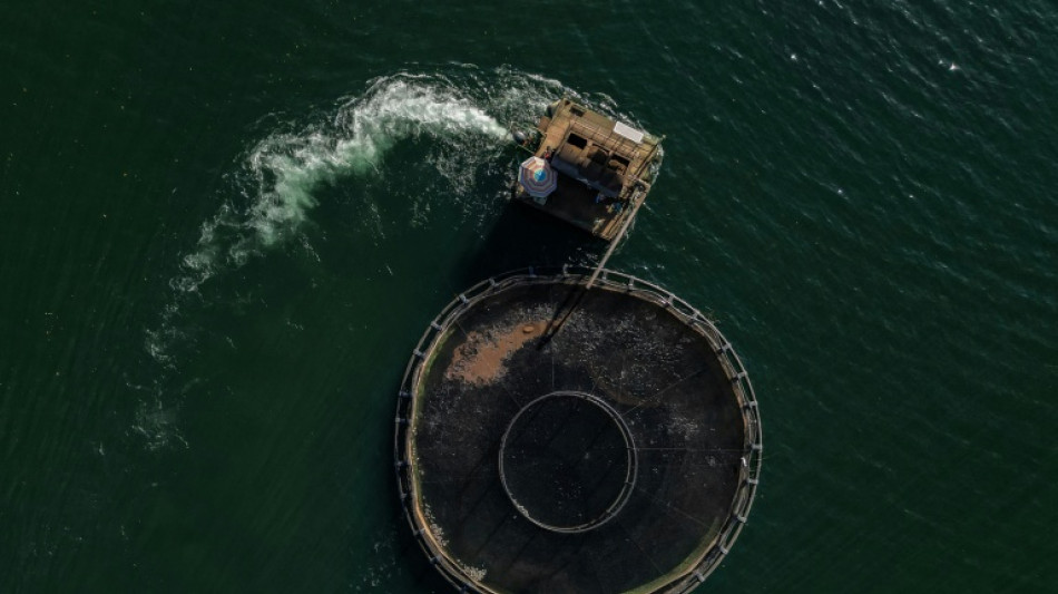 USA stimmen Antrag Brasiliens auf WTO-Konsultationen wegen hohen US-Zöllen zu