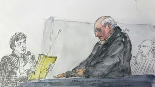 Au procès Le Scouarnec, les "loupés" des instances médicales scrutés de près