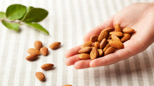 Da olio d'oliva a miele e frutta secca, alleati anti-cancro anche nei piatti di Natale