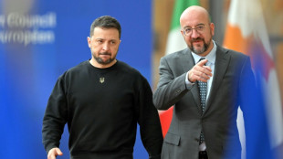 Zelensky tente d'obtenir le soutien de l'UE et de l'Otan &agrave; son plan "pour la victoire"