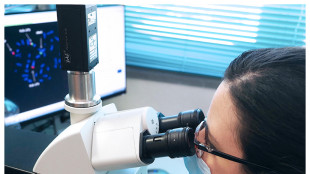 Molecole pi&ugrave; efficienti grazie a piccole modifiche chimiche