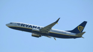 Un buitre obstinado, retirado del ala de un Ryanair antes de un vuelo en Grecia