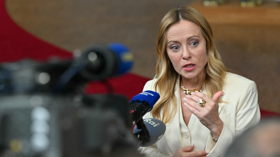 Italian PM slams 'shameful' release of alleged protest organiser