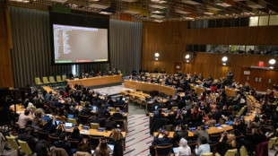 La ONU expulsa a Ir&aacute;n de un organismo de derechos de las mujeres por la represi&oacute;n
