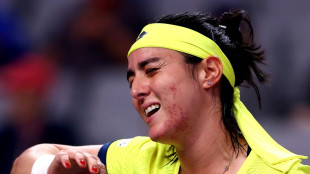 Emotional Jabeur to donate prize money to Palestinians
