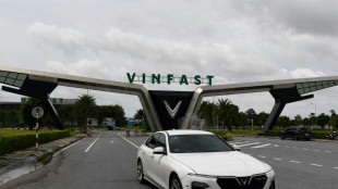 El fabricante vietnamita de coches el&eacute;ctricos Vinfast, a la conquista de EEUU