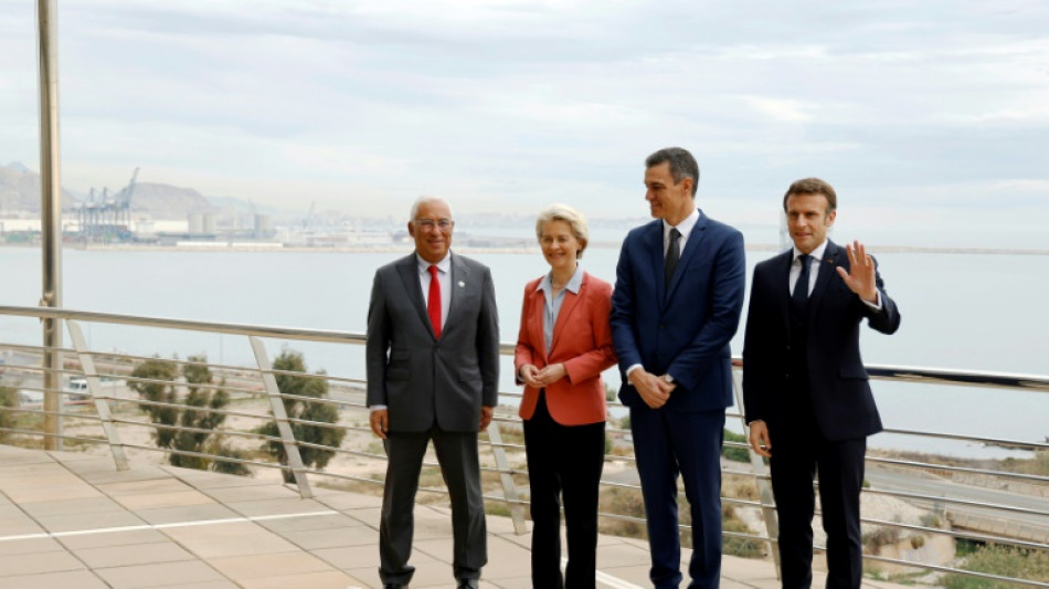 V&iacute;a de hidr&oacute;geno entre pen&iacute;nsula ib&eacute;rica y Francia costar&aacute; 2.500 M de euros y operar&aacute; en 2030