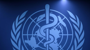 China schickt eigene Kandidatin ins Rennen um Nachfolge von WHO-Chef Tedros