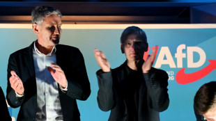 L'extr&ecirc;me droite vise un nouveau succ&egrave;s en ex-RDA, dans un fief de Scholz