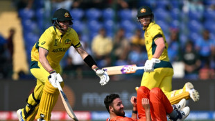 Warner, Smith hit fifties as Australia start strong against Dutch