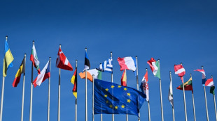 Le nouveau Parlement europ&eacute;en fait sa rentr&eacute;e, l'extr&ecirc;me droite en ordre dispers&eacute;