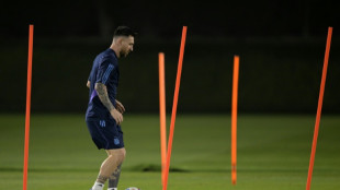 Pa&iacute;ses Bajos acaba con el sue&ntilde;o estadounidense y espera en cuartos a Messi o a los 'Socceroos'