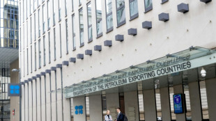 OPEC+ reaffirms planned pause on oil output hikes until March