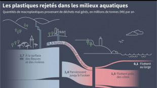 D'o&ugrave; vient le plastique des oc&eacute;ans?