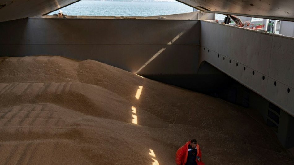 Putin empf&auml;ngt Erdogan in Sotschi 