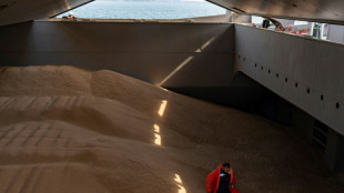 Putin empf&auml;ngt Erdogan in Sotschi 