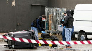 Suspenden el arresto del autor del "atentado terrorista racista" en Francia por motivos psiqui&aacute;tricos