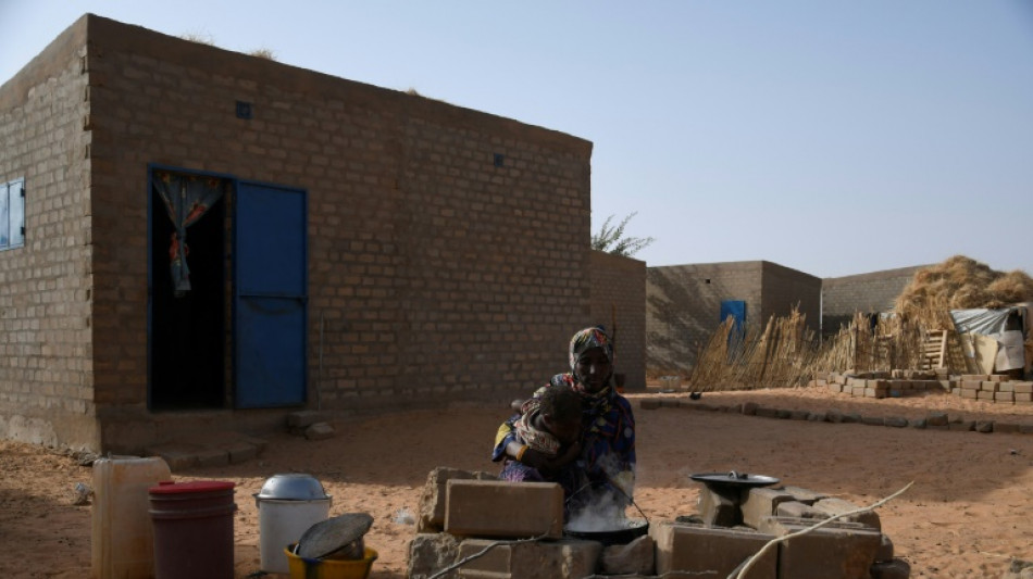 Baerbock f&uuml;hrt politische Gespr&auml;che in Republik Niger