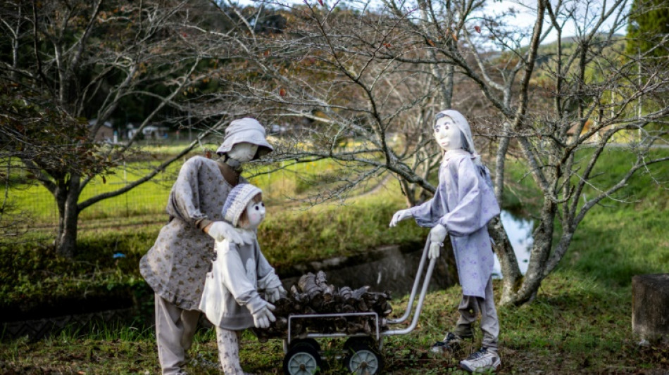 Un enfant et 70 mannequins: bienvenue &agrave; Ichinono, Japon