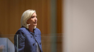'Eu sou Marine!', extrema direita europeia apoia Le Pen após condenação