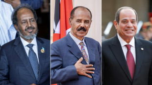 Dans la Corne de l'Afrique, des changements d'alliance &agrave; risques
