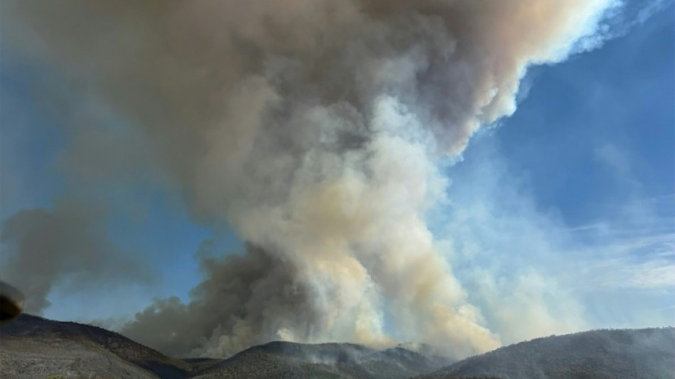 Australia declares state of disaster as bushfires rage