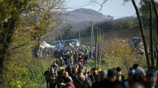 Sacrif&iacute;cio de rebanho bovino reacende revolta do setor agr&iacute;cola na Fran&ccedil;a