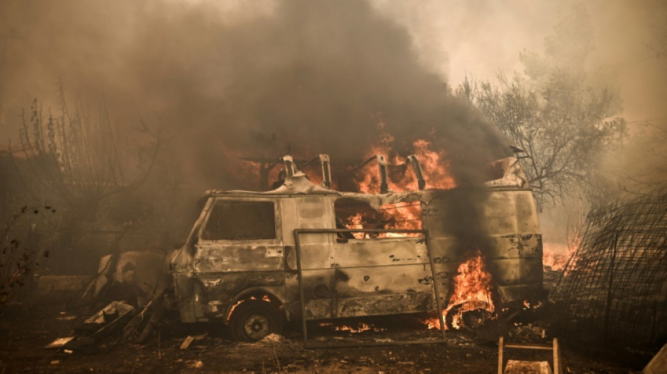 Greek summer wildfires will burn over 150,000 hectares: PM